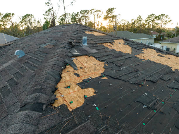 Best Steel Roofing  in Whiteman Af, MO